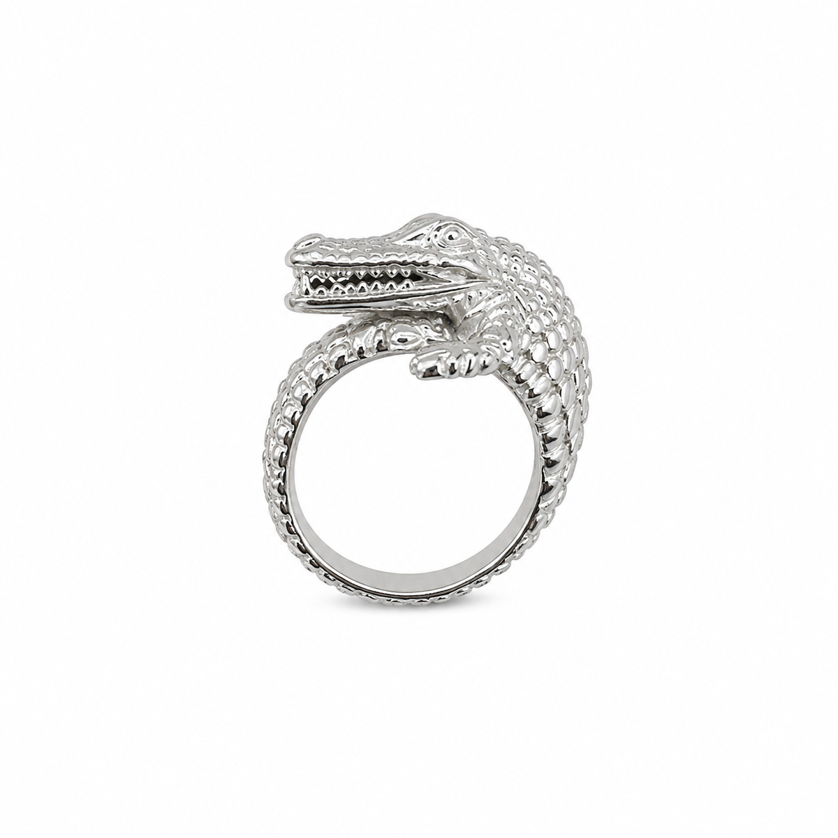 Keeper of Time Ring | Silver
